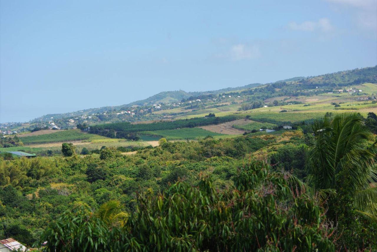 Capucine Les Hauts Riviere Saint-Louis المظهر الخارجي الصورة