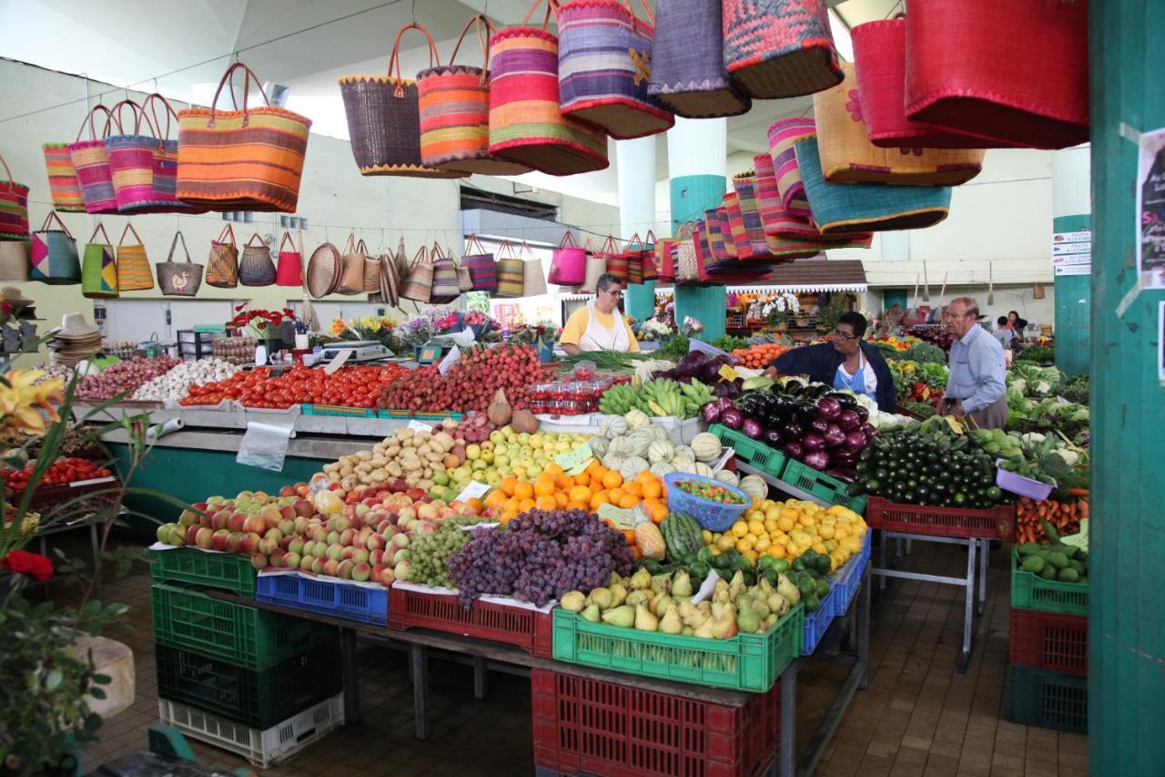 Capucine Les Hauts Riviere Saint-Louis المظهر الخارجي الصورة